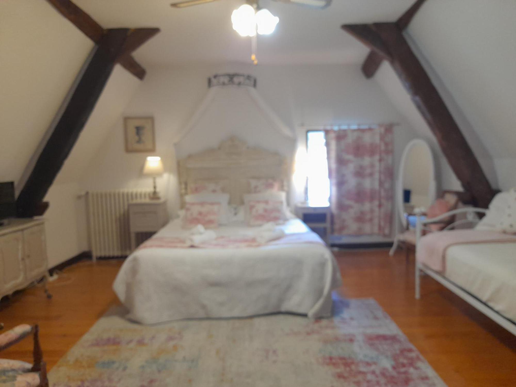 La Maison Du Prince De Conde Charroux-dʼAllier المظهر الخارجي الصورة